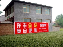 安乡如何让墙体广告展现最大化效果