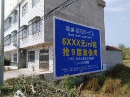 安乡墙体广告质量分析