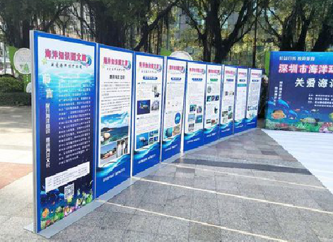 安乡KT板的种类和知识。